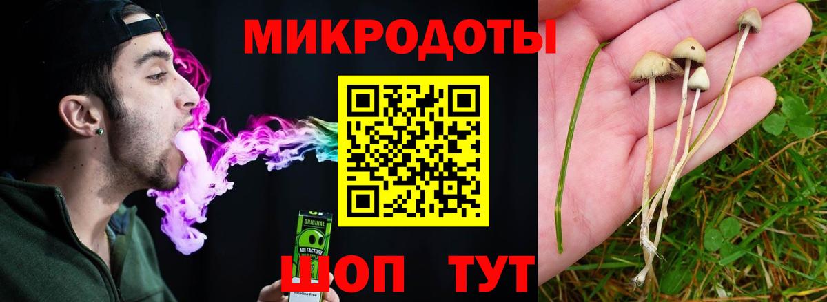 Псилоцибиновые грибы Psilocybine cubensis Хабаровск
