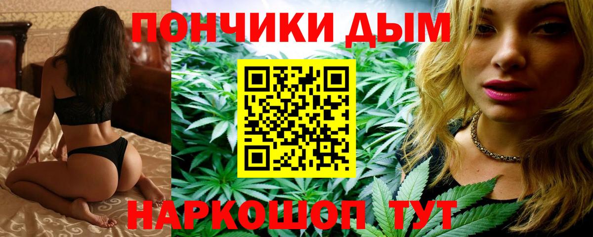 Бошки Шишки Bruce Banner  Каннабис Bruce Banner  Вход с VPN  Конопля марихуана  Хабаровск  Марихуана конопля 
